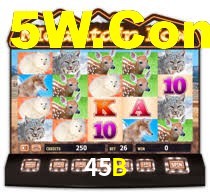 45B,45B Bet